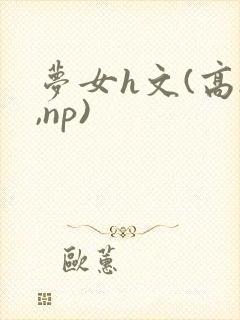 梦女h文(高h,np)封面