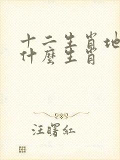 十二生肖地肖是什么生肖