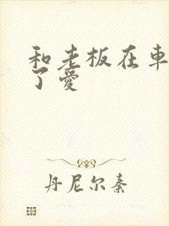 和老板在车里做了爱