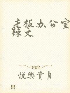 老板办公室系列辣文