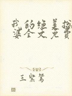 我的绝美总裁老婆全文免费阅读封面