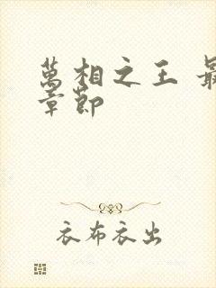 万相之王 最新章节