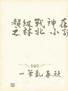 超级战神在都市之林北 小说
