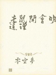 老鼠开会明白的道理封面