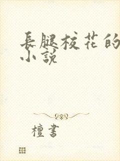 长腿校花的呻吟小说