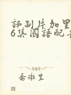 译制片加里森26集国语配音免费观看