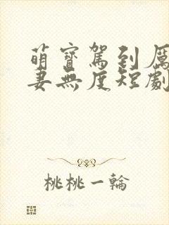 萌宝驾到厉总宠妻无度短剧封面