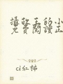 摄政王的小闲妻免费阅读正版