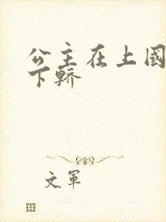 公主在上国师请下轿