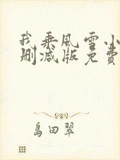 我乘风雪小说无删减版免费阅读封面