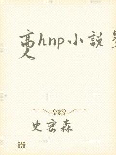 高hnp小说多人