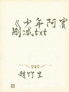 《少年阿宾》无删减txt封面