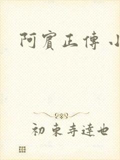 阿宾正传 小说