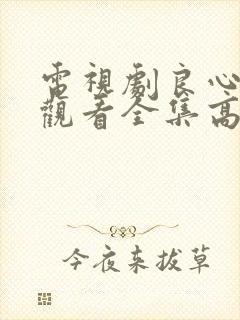 电视剧良心免费观看全集高清