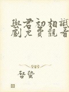 与君初相识电视剧免费观看第3集