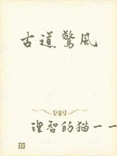古道惊风封面
