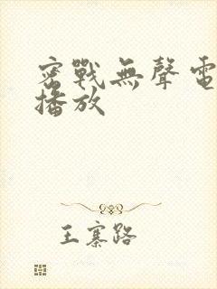 密战无声电视剧播放封面