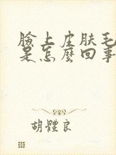 脸上皮肤毛孔大是怎么回事