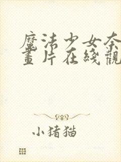 魔法少女奈叶动画片在线观看