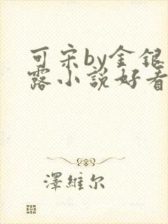 可宋by金银花露小说好看吗封面