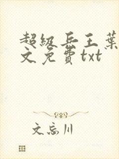 超级兵王叶谦全文免费txt