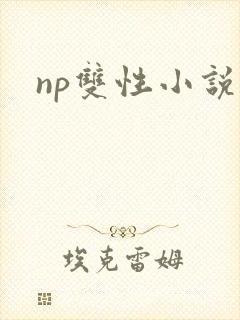 np双性小说h