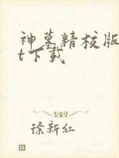 神墓精校版txt下载