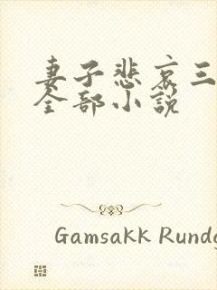 妻子悲哀三部曲全部小说