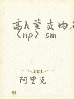 高h荤爽肉欲文〈np〉sm