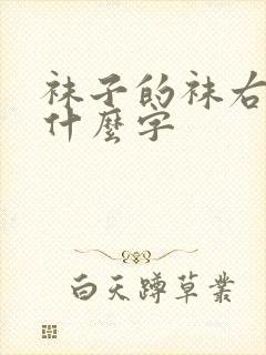 袜子的袜右边是什么字