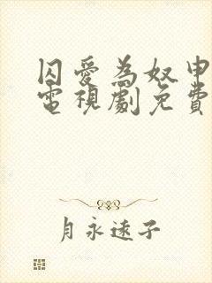 囚爱为奴申浩男电视剧免费观看