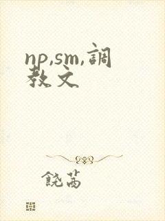 np,sm,调教文
