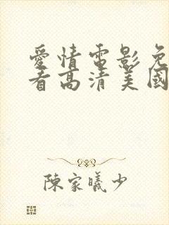 爱情电影免费观看高清美国封面