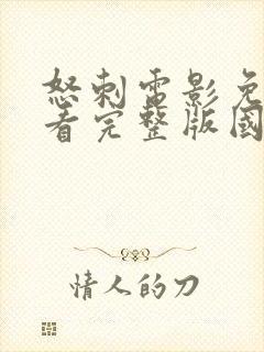 怒刺电影免费观看完整版国语版高清