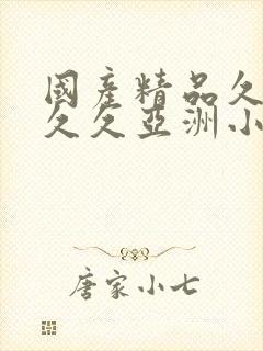 国产精品久久久久久亚洲小说