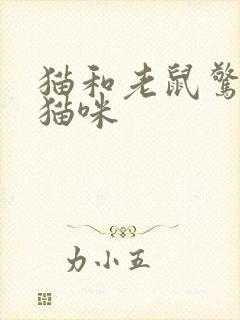 猫和老鼠惊讶的猫咪