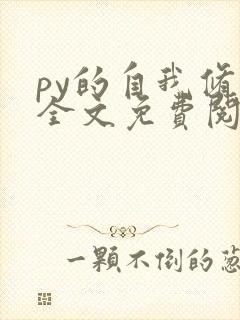 py的自我修养全文免费阅读笔趣阁