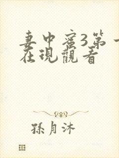 妻中蜜3第一季在现观看