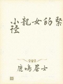 小龙女的紧致花径封面