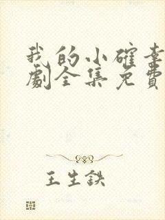 我的小确幸电视剧全集免费观看封面