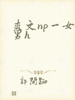 爽文np一女多男h