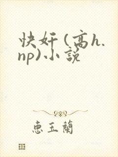 快奸 (高h.np)小说