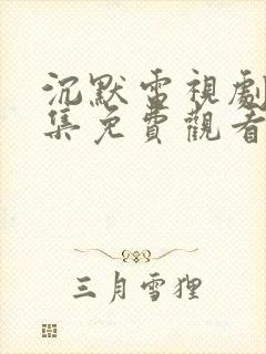 沉默电视剧25集免费观看高清