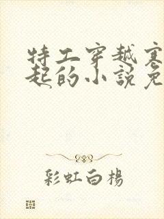 特工穿越寒门崛起的小说免费阅读