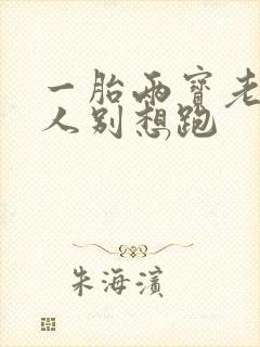 一胎两宝老婆大人别想跑