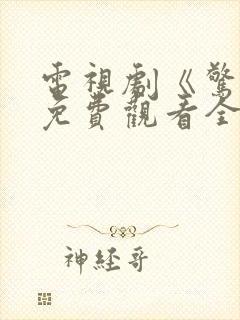 电视剧《惊弦》免费观看全集高清