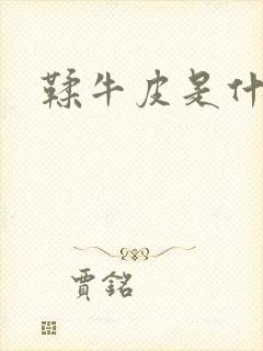 鞣牛皮是什么皮封面