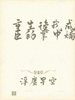 重生后我成了权臣的掌中娇看