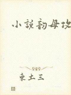 小说韵母攻略封面