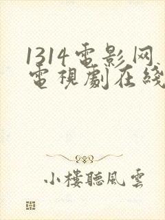 1314电影网电视剧在线观看